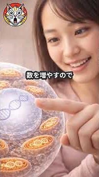 ミトコンドリア・イブ 私たちは一人の母につながっている？｜Do We All Come from One Mother? — Mitochondrial Eve