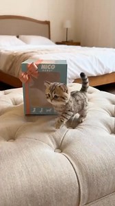 🐱 New Arrival — HERMSA Interactive Robot Kitten 🐱 😍 The most realistic robot pet ever! This adorable kitten delivers lifelike 💯 movements, interactive play, and endless cuddles—no litter box needed! ✨ Amazing Features: 🐾 Walks, runs, sits & meows 👀 Realistic movements & sounds 💕 Super soft plush fur 🎮 Interactive & responds to touch 🔋 Battery powered (easy to use) 🎁 Perfect gift packaging 👶 Safe for kids 3 🎁 Perfect gift for kids, cat lovers, elderly companions, allergy sufferers, ap