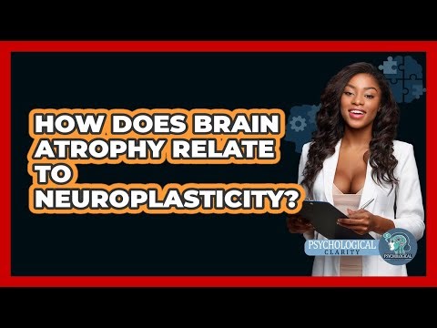 How Does Brain Atrophy Relate To Neuroplasticity? - Psychological Clarity