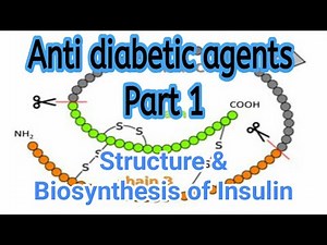 Structure & biosynthesis of Insulin | Medicinal Chemistry | III B Pharm V Sem -Unit 5 | III Pharm D