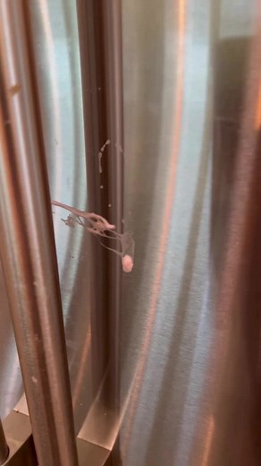 thats_inappropriate on TikTok