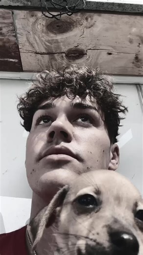 Adorable Puppies That Will Melt Your Heart