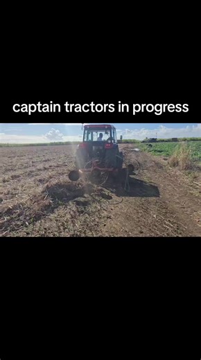 princess parrot one stop shop (@princessparrotshop)’s videos with son original - 🃏Joker🃏