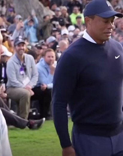 Fans at the Genesis Invitational were wild welcoming Tiger Woods back to the @pgatour , probably.. . . . #golf #tigerwoods #tiger #pgatour #justinthomas #genesisinvitational #wild #crowd #pga #audio #funny #NextLevelDish #fyp