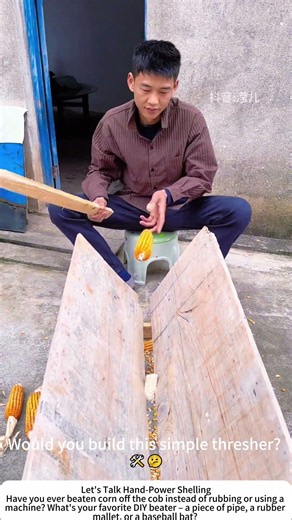 DIY Corn Threshing – Beat the Cobs with a Wooden Stick 🌽🔨