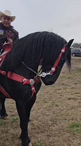 GRACIAS A TODA LA GENTE QUE NOS ACOMPAN̈O AL CARRIL DE LOS GRANDES CAMPEONES RANCHO EL CENTENARIO 🐎 | Rancho el Centenario
