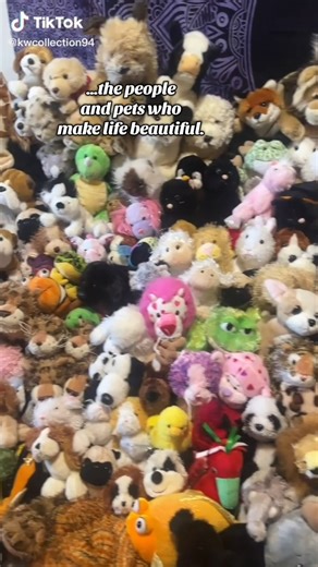 7K views · 192 reactions | New Webkinz Music, coming soon ❤Tag someone you share memories with, someone who makes your life great. Thanks to @lainey_dee for the footage from her contest entry and thanks to all of our Tik Tok contributors. #Webkinz #memories #20YearsOfWebkinz #music #new | Webkinz | Facebook