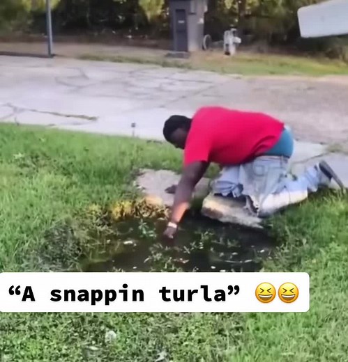 Look at that snappa!!! #lol #funny #snappingturtle #snapper #turtle #laugh #laughing #bite #mothernature #animal #nature