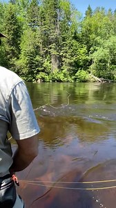 317K views · 1.8K reactions | Les techniques de base de la pêche au...