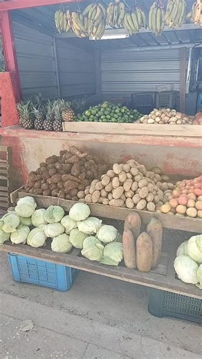 Exploring the Vibrant Cuban Community Worldwide