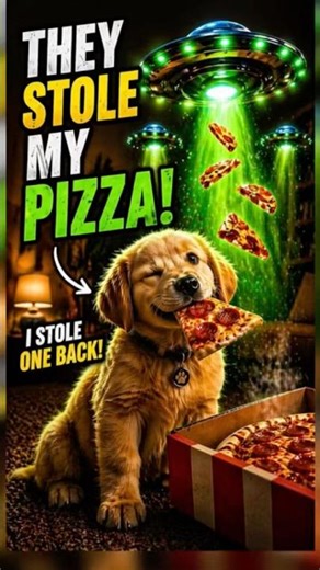 They Stole My Pizza… 🍕🛸#shorts #dogs #aliens