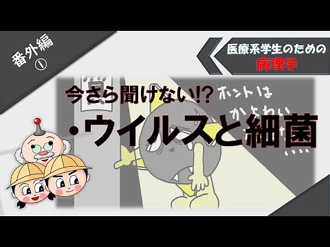 Pathology Extra Part 1: "Differences between viruses and bacteria" and "Influenza viruses"