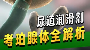 关于预射精液（Pre-cum）的重要知识：成分、功能与风险解析！