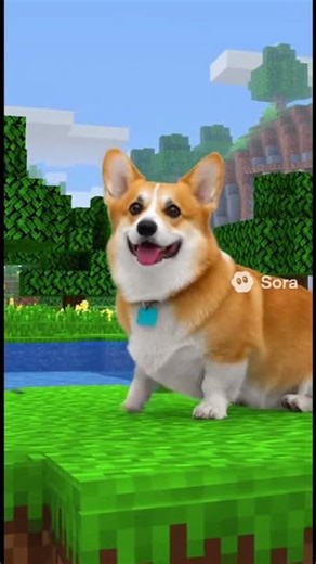 #corgi #minecraft