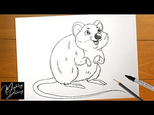 How to Draw a Quokka Easy Step by Step