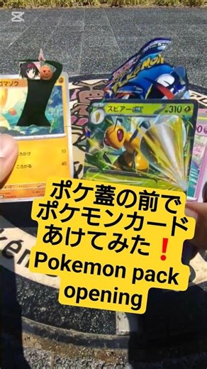 [Pokemon TCG] Opening the latest Pokemon TCG set, Ninja Spinner, in front of Geodude & Sudowoodo ...