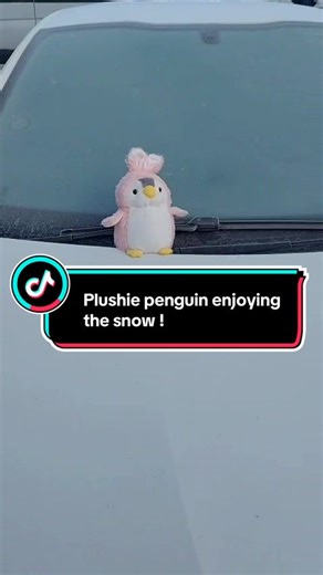Anyone enjoying this freezing cold weather like this penguin? #penguin #plushie #winter