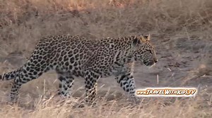 1.3K views · 19 reactions | Family Travel & Tours by Travel With Kids to Peru, Fiji, South Africa Safari. Expert family travel experiences. Contact Today space limited for 2017. | TWK Adventure Tours & Travel With Kids TV | Facebook