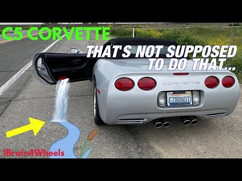 C5 Corvette Door Water Leak | Quick Fix!