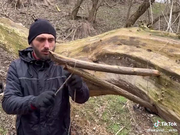 丛林生存技能与独自庇护所建造