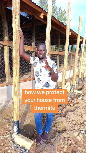 How to Protect Your House from Termites Using PVC