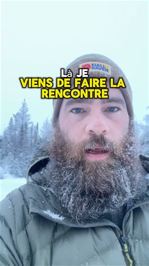 34K views · 1.1K reactions | Rencontre avec 4 lynx du Canada. #wildlife #wild #quebec #explorecanada #lynx #hiver #photography | Instants Sauvages par Jérémie Leblond-Fontaine | Facebook