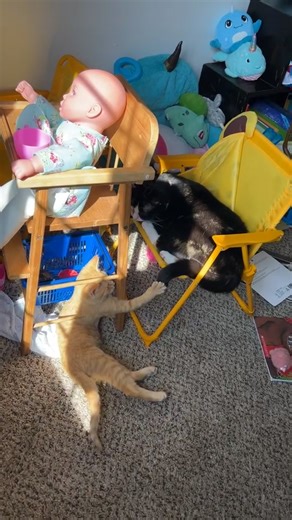 Alex Jordan on Reels