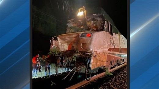 Amtrak Cascades train hits tree that fell onto tracks in Snohomish County