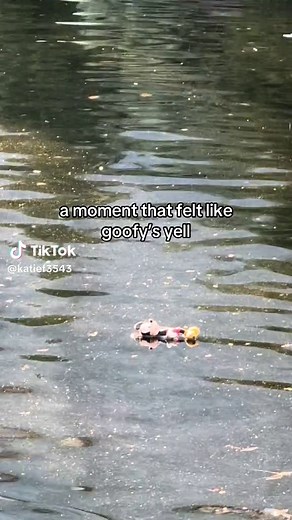 Goofy's Yell Moment at Disney World