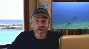 [VLOG 17] Epic Battle, Dolphin destroys Shark? 🦈 vs. 🐬 The internet is full of stories of dolphins fighting and ramming sharks. Are sharks really afraid of dolphins? Dolphin Academy takes a closer look into this topic with some surprising results! Check all our vlogs on: youtube.com/user/DolphinAcademy/cur | Dolphin Academy Curaçao