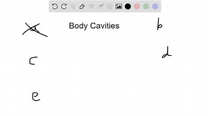SOLVED:The (submucosal/myenteric) nerve plexus is located within the muscularis externa.