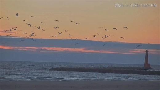 34 reactions | Northern Venture and Sunset at Muskegon November 13, 2025 The timestamp is in the upper right corner! Watch LIVE! https://www.muskegonsurfcam.com | Muskegon Surf Cam - Lake Michigan Webcam | Facebook