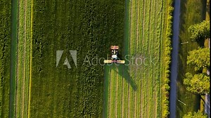 Forage harvester in action for silage, a crucial biomass crop. Farm equipment works in corn harvest season. Aerial view captures the tractor's vital role in agricultural operations Stock Video