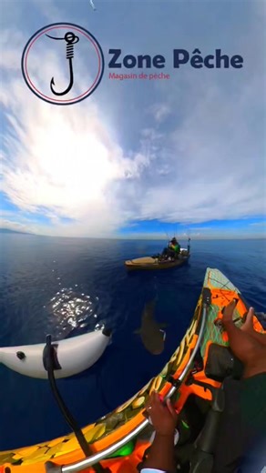 Requin ou pas requin, notre matériel tient bon. Zone Pêche , testé en conditions extrêmes. | Zone Pêche