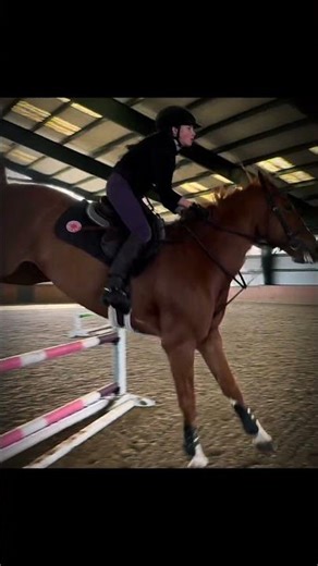 how is he this adorable. I’ll be back riding on saturday!!!