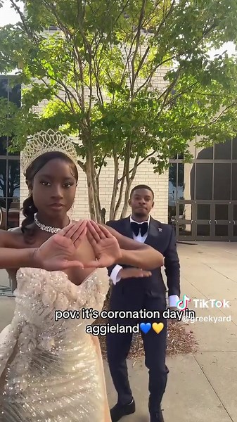 Mister and Miss Senior have arrived to the Happiest Coronation on Earth💙💛 It’s a royal BE.AM team occasion 🖤❤️ #hbcu #creatorsearchinsights #trending #deltasigmatheta #alphaphialpha