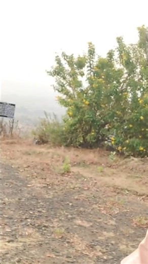 2026 new block#shorts