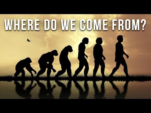 Journey of Humanity: The Story of Human Evolution
