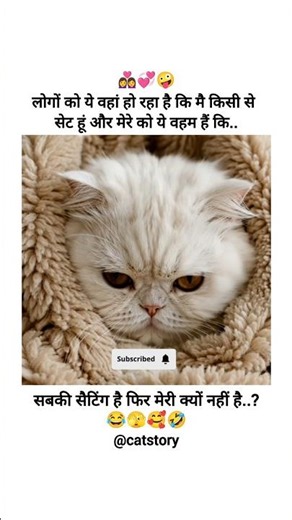 sabki setting hai 😂🫣#settings #funny #cat #like #subscribe #supportme #catvideos #amazing #trending