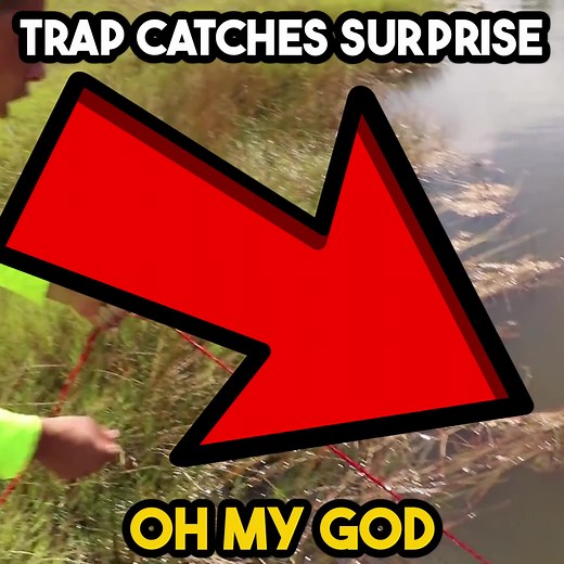 18K views · 96 reactions | wHAT iS tHIS? | RAWWFishing | Facebook