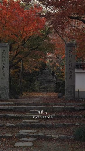 関西の神社仏閣 🎥⛩️ on Instagram: "📍京都 浄住寺-Kyoto Jōjū-ji Temple 穏やかな空気に満ちた浄住寺。 紅葉が境内に溶け込み、静かで落ち着いた時間が流れていました。 Jōjū-ji Temple, filled with a gentle and tranquil atmosphere. Autumn leaves blend into the temple grounds, where time seems to slow down quietly."