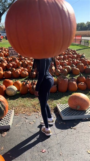 Fall Aesthetics Pumpkin Patch Ideas for Cozy Photos