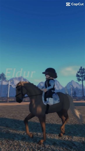 LCS:Equest#dressage#Eldur