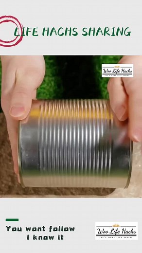 Innovative BBQ Hacks for Effortless Grilling