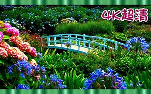 ⚜4K超清⚜ 10小时放松舒缓的音乐，惊人美丽的自然与和平的音乐〃蒂姆·珍妮斯 (Tim Janis)