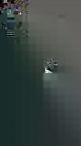 293K views · 3.5K reactions | "One day you're playing basketball at home with your dad before you start seventh grade, and the next you're playing the night before you get married." ❤️ https://gma.abc/3MJA1tA | Good Morning America | Facebook