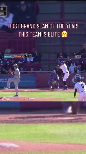 Gamecocks Baseball: Elite Performance Highlights