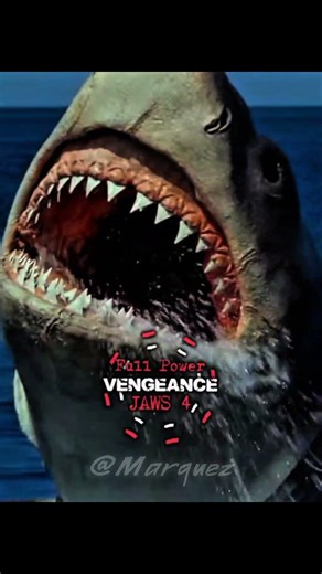Brucetta vs Vengeance | #jaws #shark #battle #edit #1v1 #wis #debate