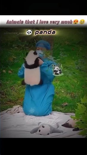Grey panda😯😍💖 #shorts#viral#panda#rabbit#penguin#trending#lovestatus#pets#edit#viralvideo#cutepanda