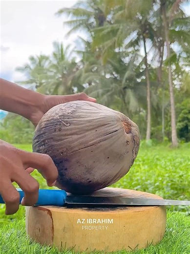Sharp Knife | Dry Old Coconut Cutting. 🌴🥥 #coconut #fruit #asmr #viral